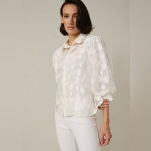 Joseph Ribkoff 221305 Polka Dot Sheer Blouse White Size 6/M